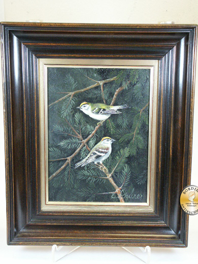 Ölbild; Schürer, zwei Vögel, signiert, Öl auf Leinwand